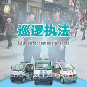 广州车陂街道办理处电动巡逻车供应商