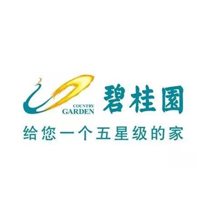 广州碧桂园地产电动看楼车供应商